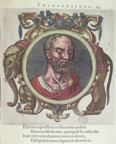 Theophrastus, illustration from Veterum et Recentium Medicorum Philosophorumque Icones by Johannes Sambucus, published by Plantin in Leyden 1603 by Dutch School