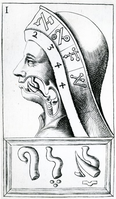 Throat movements used in the pronunciation of the Hebrew Alphabet, illustration from Alphabetum Natura (Alphabet of Nature) by F.M. van Helmont by Dutch School