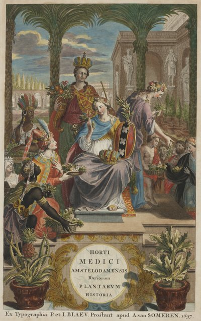 Title page from Horti Medici Amstelodamensis Rariorum Plantarum Historia vol. I, by Jan Commelin by Dutch School