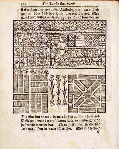 Training and Planting in the garden, from The Dutch Gardener, by Johann van der Groen, published 1699 by Dutch School