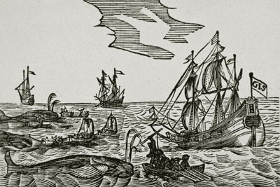 Whaling ships, from Jacob Segersz van der Brugge