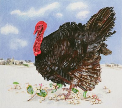 Black Turkey with Snow Berries, 1996 by E.B. Watts