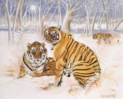 Tigers in the Snow by E.B. Watts