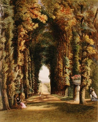 Vista in the Gardens at Teddesley, from The Gardens of England, published 1857 by E. Adveno Brooke