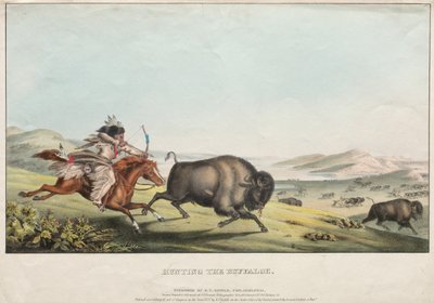 Hunting the Buffalo by E. C. Biddle