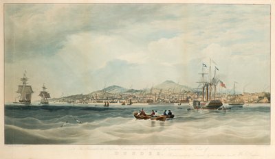 View of Dundee from the River by E. Duncan