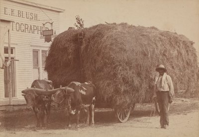 Albumen Print of a Man with a Full Hay Cart, 1894-1904 by E. K. Blush