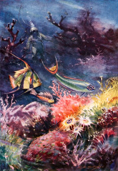 A Paradise of Beauty Beneath the Sea by E. S. (after) Hodgson
