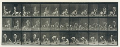 Animal Locomotion. An Electro-Photographic Investigation of Consecutive Phases of Animal by Eadweard Muybridge