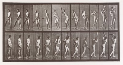 Animal Locomotion. An Electro-Photographic Investigation of Consecutive Phases of Animal, 1880s by Eadweard Muybridge