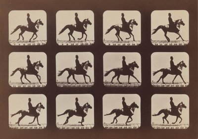 Attitudes of Animals in Motion by Eadweard Muybridge