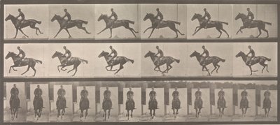 Horse and Rider Galloping by Eadweard Muybridge
