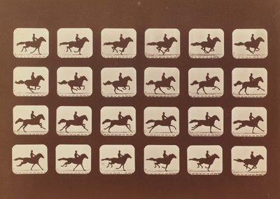 Horses. Running. Phyrne L. No. 40, 1879 by Eadweard Muybridge