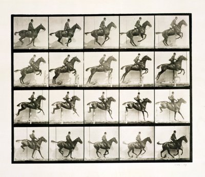 Man and Horse Jumping a Fence by Eadweard Muybridge