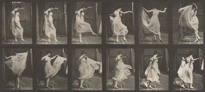 Plate Number 188. Dancing Fancy by Eadweard Muybridge
