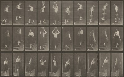 Plate Number 504. Ascending and Descending Stairs by Eadweard Muybridge