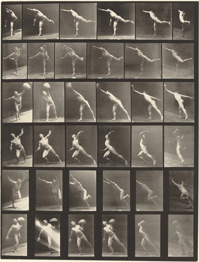Plate Number 523. A: Striking a blow. B, E: Throwing disk. C, F: Heaving a 75-lb. Stone by Eadweard Muybridge