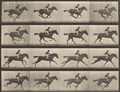 Plate Number 626. Gallop, thoroughbred bay mare, Annie G., 1887 by Eadweard Muybridge