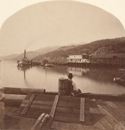 Sausalito from the N.P.C.R.R. Wharf, Looking South, ca. 1868 by Eadweard Muybridge