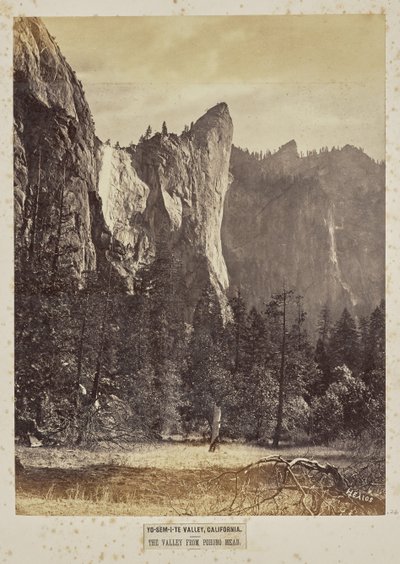 Yosemite Valley, California. The Valley from Pohono Meadows by Eadweard J. Muybridge