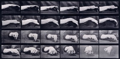 A Motion Study of a Hand by Eadweard Muybridge