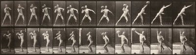Animal Locomotion (Plate 319) (Man Throwing a Ball) by Eadweard Muybridge