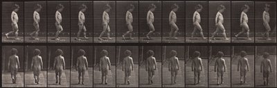 Animal Locomotion, Plate 467 by Eadweard Muybridge