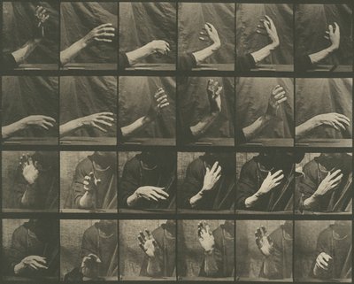 Animal Locomotion, Plate 535 by Eadweard Muybridge