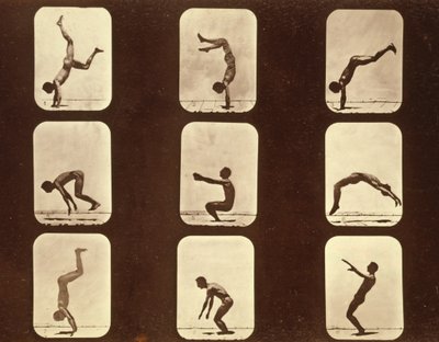 Athletes. Flip flap 