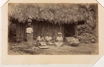 Domestic Occupations of the Coffee Pickers, Las Nubes, Guatemala by Eadweard Muybridge