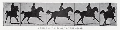A Phase in the Gallop of the Horse by Eadweard Muybridge