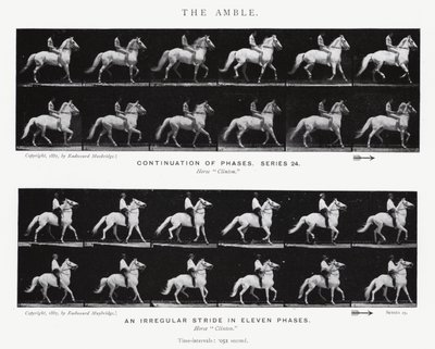 The Amble by Eadweard Muybridge