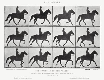 The Amble by Eadweard Muybridge