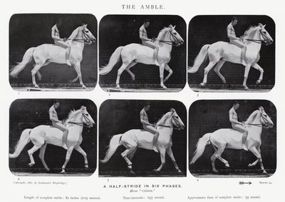 The Amble by Eadweard Muybridge