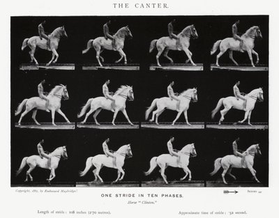 The Canter by Eadweard Muybridge
