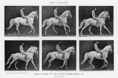 Eadweard Muybridge: The Canter (b/w photo) by Eadweard Muybridge