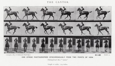 The Canter by Eadweard Muybridge