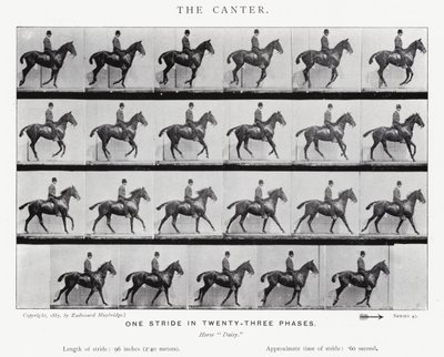 The Canter by Eadweard Muybridge