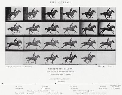 The Gallop by Eadweard Muybridge