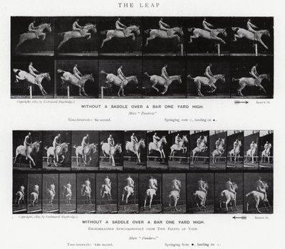Eadweard Muybridge: The Leap by Eadweard Muybridge