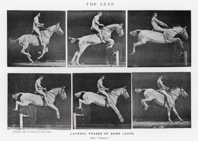 The Leap by Eadweard Muybridge