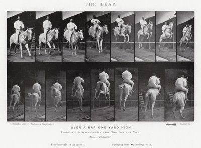 The Leap by Eadweard Muybridge
