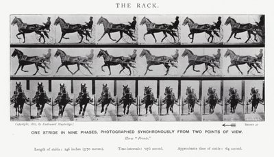The Rack by Eadweard Muybridge