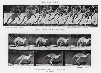 Eadweard Muybridge: The Ricochet by Eadweard Muybridge