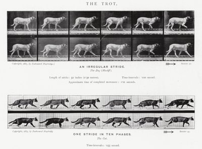The Trot by Eadweard Muybridge