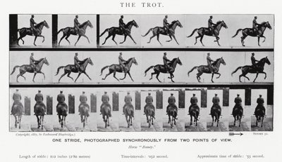The Trot by Eadweard Muybridge
