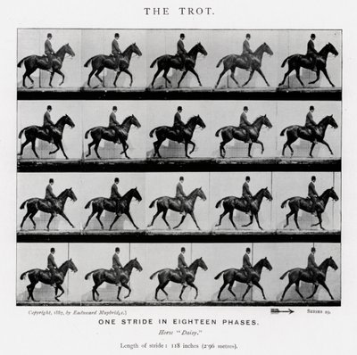 The Trot by Eadweard Muybridge