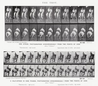 The Trot by Eadweard Muybridge