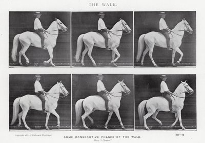 Eadweard Muybridge: The Walk by Eadweard Muybridge