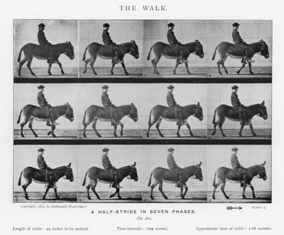 Eadweard Muybridge: The Walk by Eadweard Muybridge